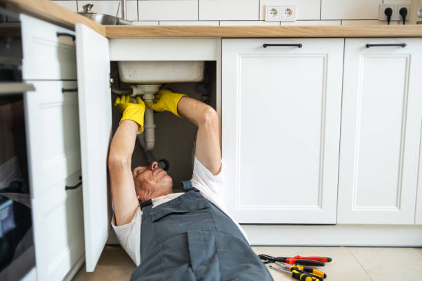 Best Local Plumber Services  in Wilder, ID